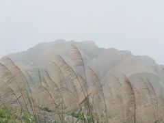 -洋山深水港