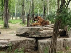 -秦皇岛野生动物园