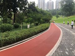 -龙头寺公园