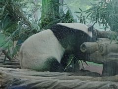 -广州动物园