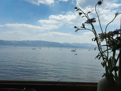 -抚仙湖禄充风景区
