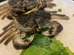 -天伦里餐厅(绿城桃花源店)