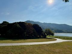 -风云岭森林公园