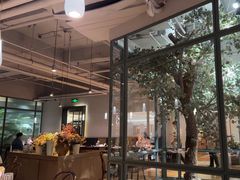 -大树餐厅(大悦城店)
