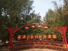 -北海金海湾红树林生态旅游区