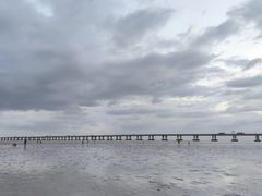 -南汇新城海滩
