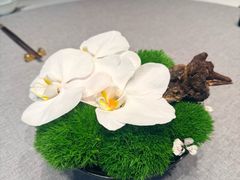 -新荣记(南京西路店)