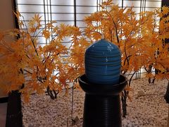-汤里来温泉