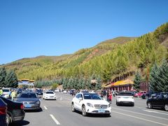 -塞罕坝国家级自然保护区