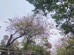 -广州市白云山风景名胜区