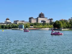 -莲花池公园