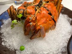 -久宴·天目湖大鱼头(恐龙园店)