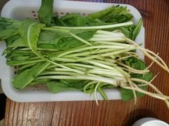 -正能量脆肉鲩火锅