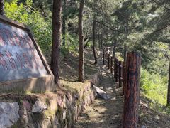 -北京十三陵国家森林公园蟒山景区