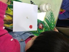 -上海大自然野生昆虫馆(东方明珠·爬宠昆虫探索中心)