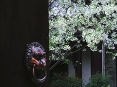 -莫愁湖公园