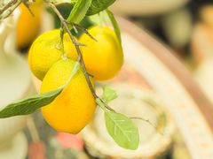 -弗兰克牛排西餐厅Ribone steak house(柠檬花园店)