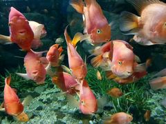 -福州罗源湾海洋世界旅游区