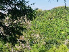 -丹山赤水风景名胜区
