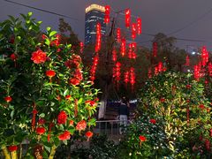 -天河体育中心