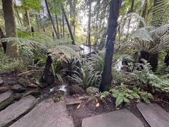 -墨尔本皇家植物园