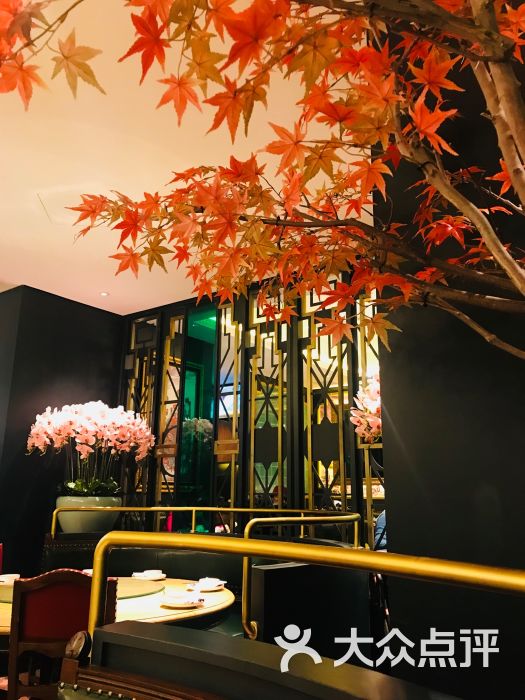 新白鹿餐厅(爱琴海购物公园店)图片 - 第7张