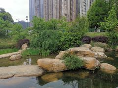 -花果园湿地公园