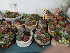 -李村大集