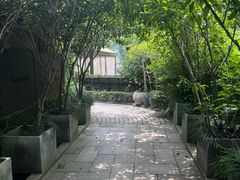 -野蔓果·山野菜(西湖景区·龙井茶田店)