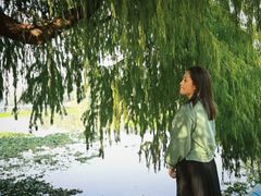 -南宁良凤江国家森林公园