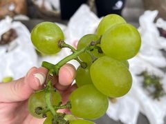 -美家乐农庄·露营·团建(大治路店)