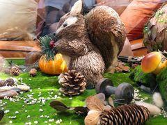 包房-初拾·花里餐厅(钜城华亿店)