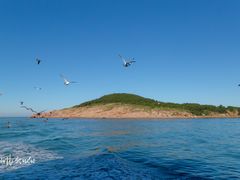 -海驴岛(荣成市)