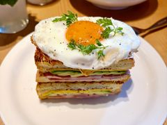 -O'eat Blossom&Pelican(深圳首店)