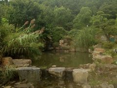 -穹窿山景区