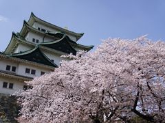 -名古屋城
