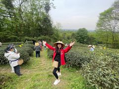 -泰山风景名胜区-普照寺