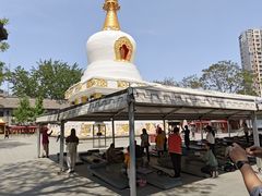 -护国法轮寺