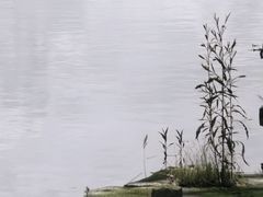 -阳澄湖半岛旅游度假区