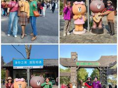 -溱湖国家湿地公园