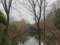 -西溪国家湿地公园