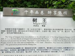-张坝桂圆林公园