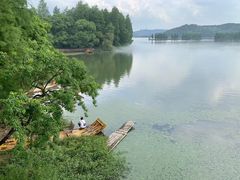 -东湖落雁景区