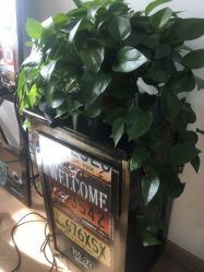 -ONE·男士国潮·美式渐变·理发馆·BARBER SHOP