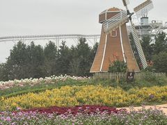 -金卉庄园