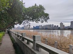 -江心屿景区