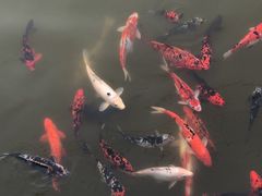 -渔堂公园餐厅·本帮菜(乐园路店)