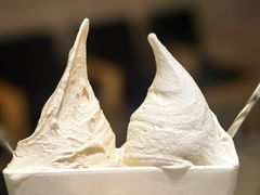 -野人先生现做冰淇淋(北京环宇荟店)