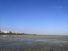 -北海金海湾红树林生态旅游区