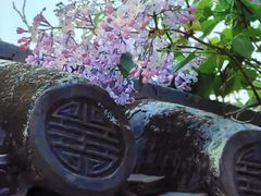 -团结湖公园